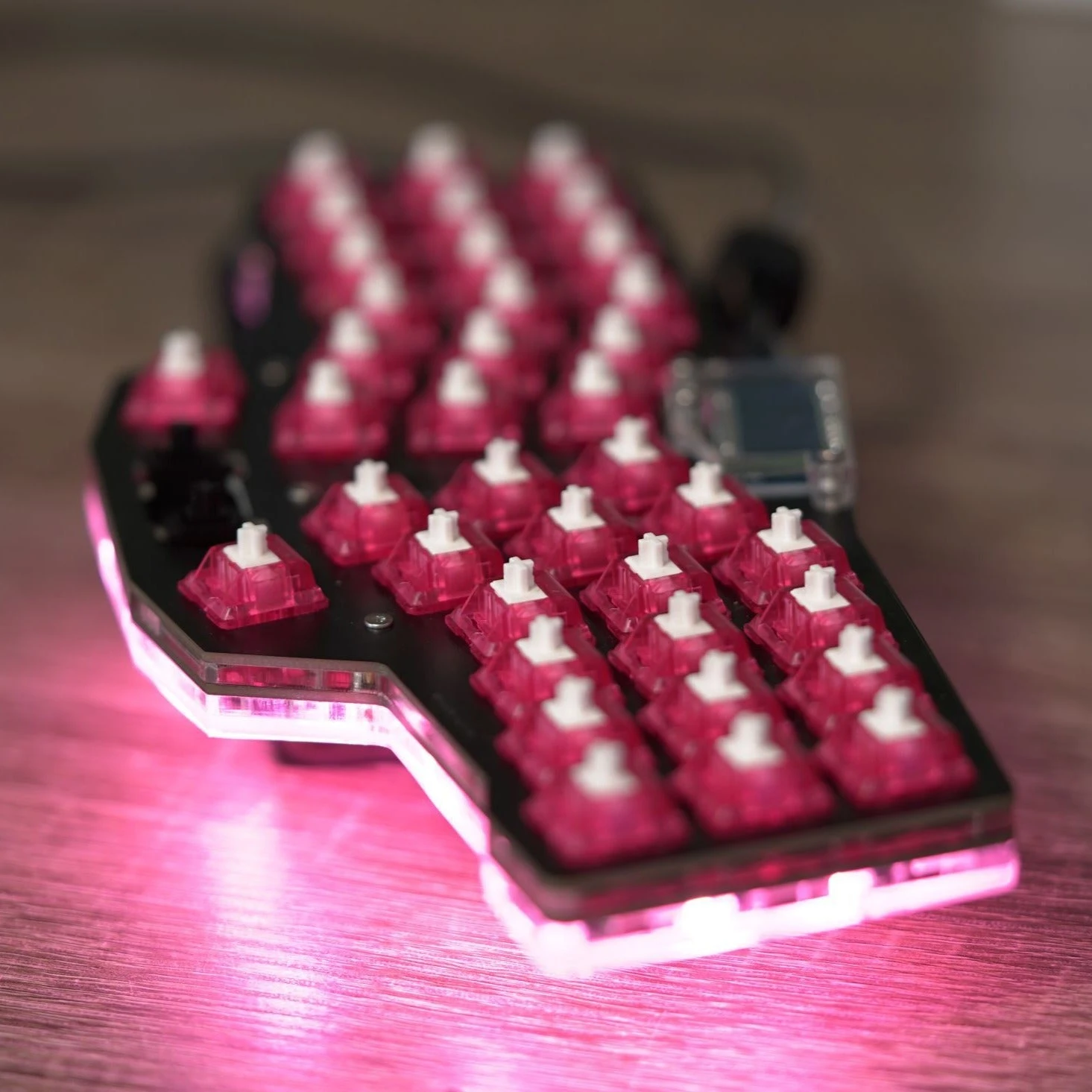 Reviung 39 1 Reviung 39